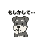 かわいいミニチュアシュナウザーのスタンプ（個別スタンプ：7）