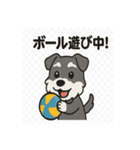 かわいいミニチュアシュナウザーのスタンプ（個別スタンプ：9）