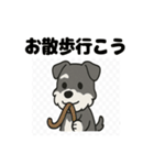 かわいいミニチュアシュナウザーのスタンプ（個別スタンプ：10）