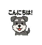 かわいいミニチュアシュナウザーのスタンプ（個別スタンプ：12）