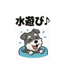 かわいいミニチュアシュナウザーのスタンプ（個別スタンプ：13）