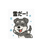 かわいいミニチュアシュナウザーのスタンプ（個別スタンプ：16）