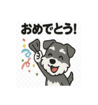 かわいいミニチュアシュナウザーのスタンプ（個別スタンプ：19）