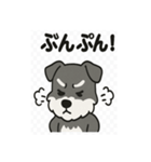 かわいいミニチュアシュナウザーのスタンプ（個別スタンプ：21）