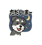 かわいいミニチュアシュナウザーのスタンプ（個別スタンプ：23）