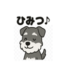 かわいいミニチュアシュナウザーのスタンプ（個別スタンプ：24）