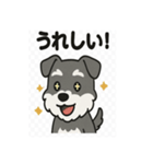 かわいいミニチュアシュナウザーのスタンプ（個別スタンプ：25）