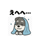 かわいいミニチュアシュナウザーのスタンプ（個別スタンプ：32）