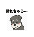 かわいいミニチュアシュナウザーのスタンプ（個別スタンプ：33）