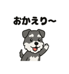 かわいいミニチュアシュナウザーのスタンプ（個別スタンプ：34）
