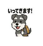 かわいいミニチュアシュナウザーのスタンプ（個別スタンプ：36）