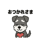 かわいいミニチュアシュナウザーのスタンプ（個別スタンプ：37）