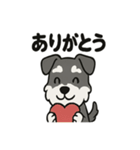 かわいいミニチュアシュナウザーのスタンプ（個別スタンプ：38）