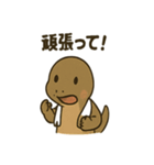 かわいいコモドドラゴンの日常（個別スタンプ：9）