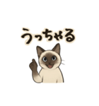 方言シャム猫 房州弁・千葉弁（個別スタンプ：3）
