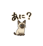 方言シャム猫 房州弁・千葉弁（個別スタンプ：14）