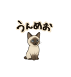 方言シャム猫 房州弁・千葉弁（個別スタンプ：16）