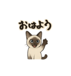 方言シャム猫 房州弁・千葉弁（個別スタンプ：21）