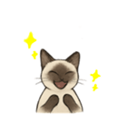 方言シャム猫 房州弁・千葉弁（個別スタンプ：23）