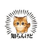 『マンチカン』のスタンプ（個別スタンプ：1）