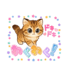 『マンチカン』のスタンプ（個別スタンプ：10）