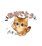 『マンチカン』のスタンプ（個別スタンプ：12）