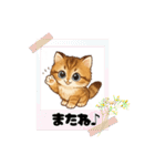 『マンチカン』のスタンプ（個別スタンプ：17）