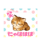 『マンチカン』のスタンプ（個別スタンプ：19）