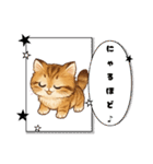 『マンチカン』のスタンプ（個別スタンプ：30）