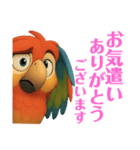 オウムのルミナちゃん（個別スタンプ：20）
