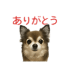 ミミンヌですが？（個別スタンプ：2）