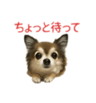 ミミンヌですが？（個別スタンプ：3）