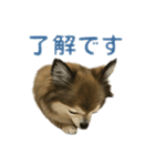 ミミンヌですが？（個別スタンプ：4）