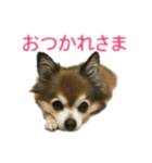 ミミンヌですが？（個別スタンプ：6）