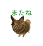 ミミンヌですが？（個別スタンプ：8）