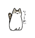 うちの猫2匹ver2（個別スタンプ：17）
