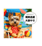 ヨーキーのネガティブスタンプ（個別スタンプ：10）