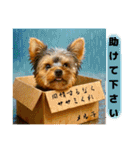 ヨーキーのネガティブスタンプ（個別スタンプ：15）