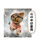 ヨーキーのネガティブスタンプ（個別スタンプ：17）