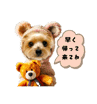 ヨーキーのネガティブスタンプ（個別スタンプ：25）