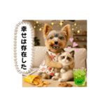 ヨーキーのネガティブスタンプ（個別スタンプ：31）