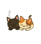 クロまる【日常編】（個別スタンプ：10）