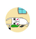 frenchbulldog hanaco Part5（個別スタンプ：28）