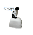 ハナクロニノヨシタケ（個別スタンプ：4）