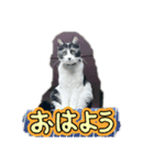 ハナクロニノヨシタケ（個別スタンプ：5）