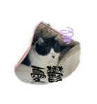 ハナクロニノヨシタケ（個別スタンプ：8）