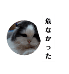 ブイブイ スタンプ（個別スタンプ：14）