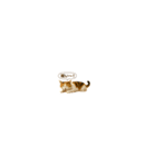 カワイイ三毛猫！（個別スタンプ：5）