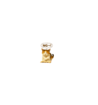 カワイイ三毛猫！（個別スタンプ：8）
