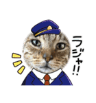 新⭐︎顔デカ猫トラちゃん（個別スタンプ：7）